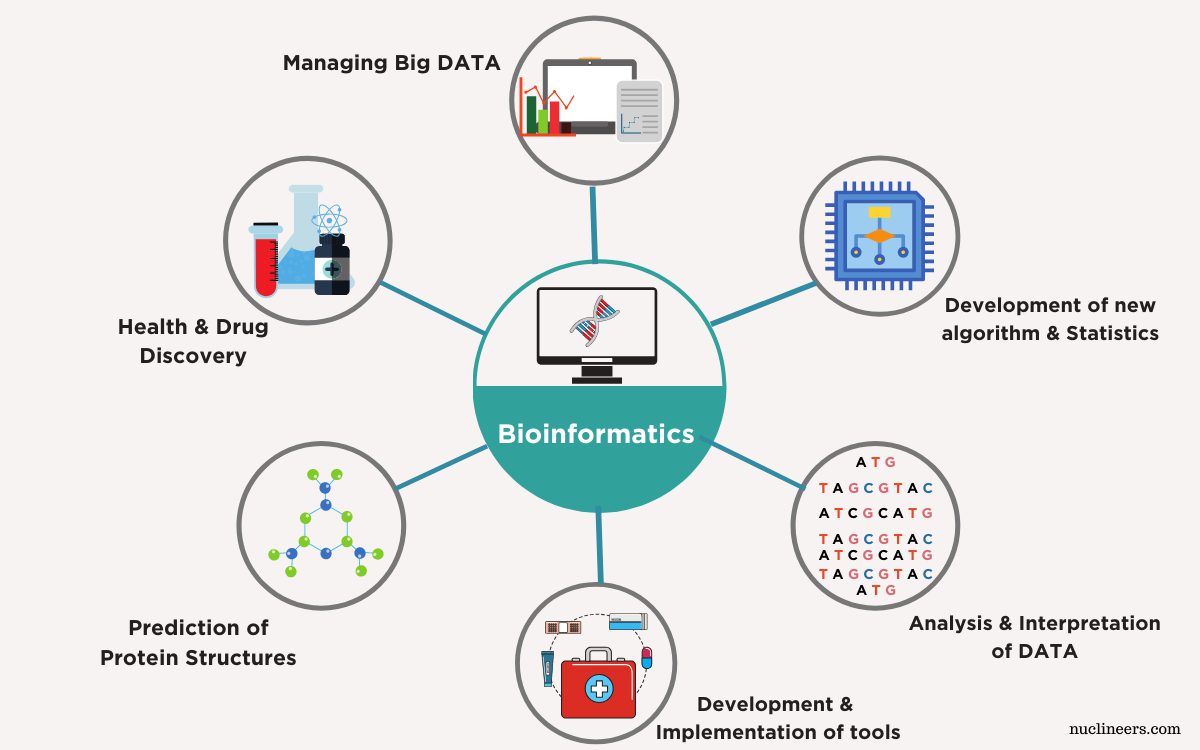 Bioinformatics Application - CareerGuide