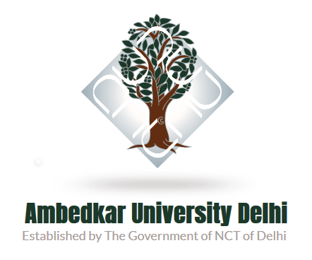 Dr B.r. Ambedkar University Delhi