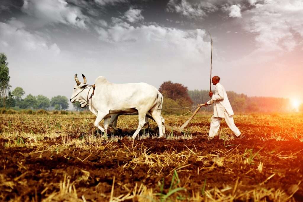 Farmer Ploughing Field