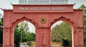 Punjab Agriculture University careerguide