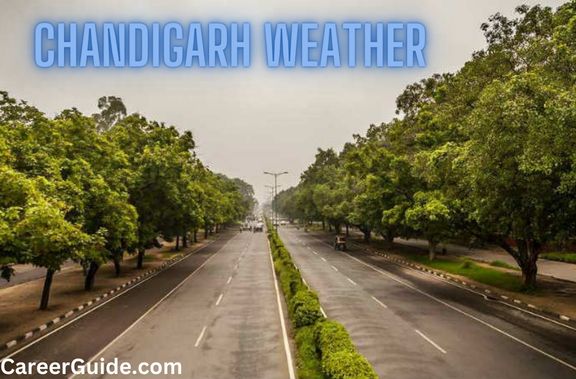 Chandigarh weather: temperature-humidity-AQI - CareerGuide