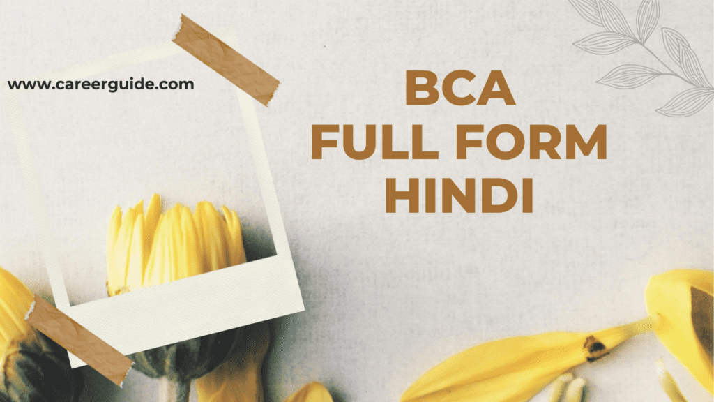 Bca Full Form In Hindi