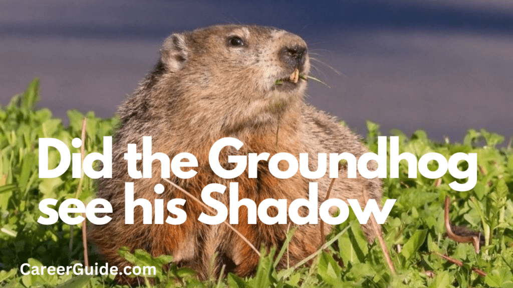 Did The Groundhog See His Shadow CareerGuide