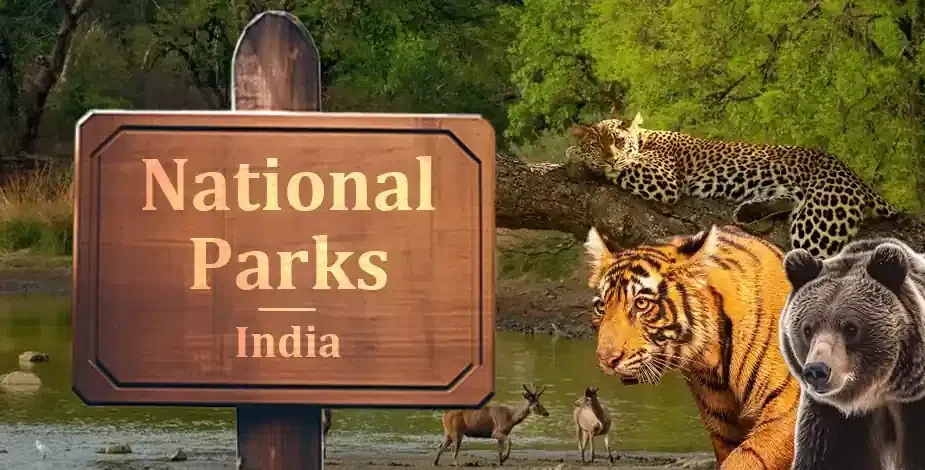 How Many National Park In India