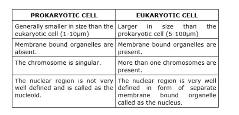 How Is A Prokaryotic Cell Different From A Eukaryotic Cell