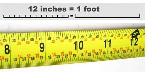 How Many Inches In 1 Foot