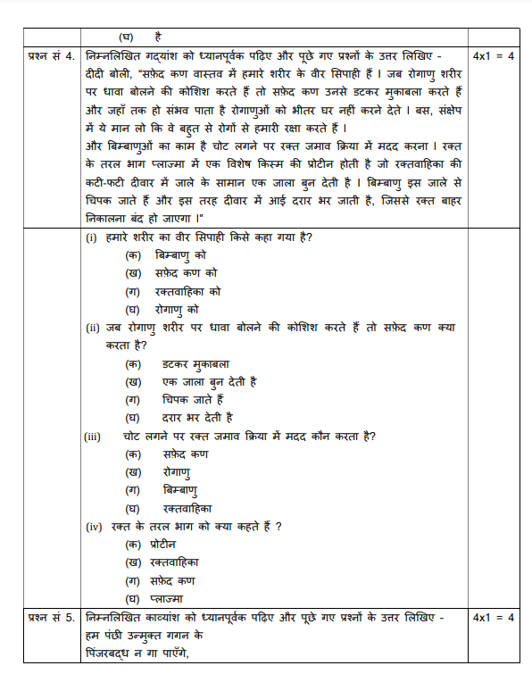 Hindi Question Paper 2019 7th Class 3