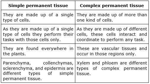 How Are Simple Tissues Different From Complex Tissues In Plants