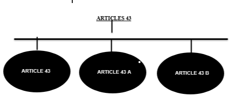 Article 43