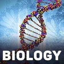 Class 11 Biology Neet