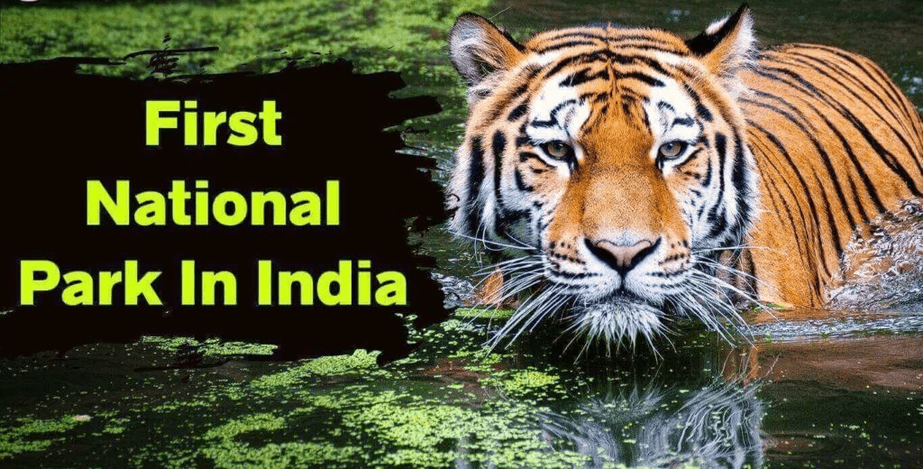 First National Park In India