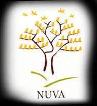 Nuva Cet, 9 Best University In Nagpur