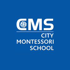 City Montessori School University (cmsu) Lucknow 9 Top University