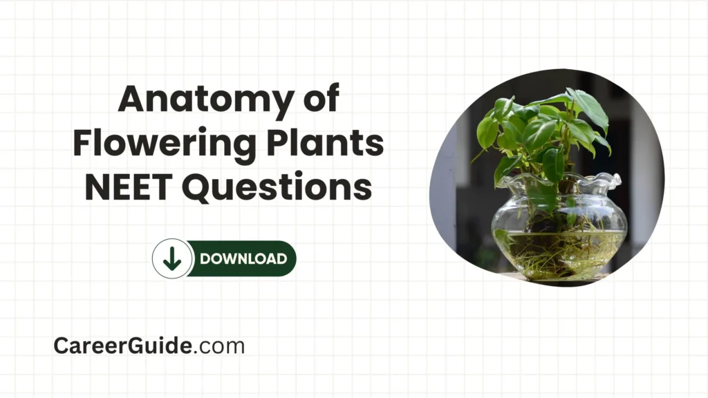 Anatomy Of Flowering Plants Neet Questions