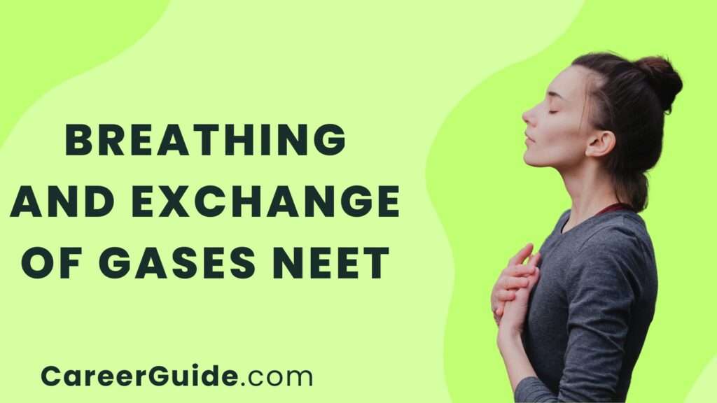 Breathing And Exchange Of Gases Neet