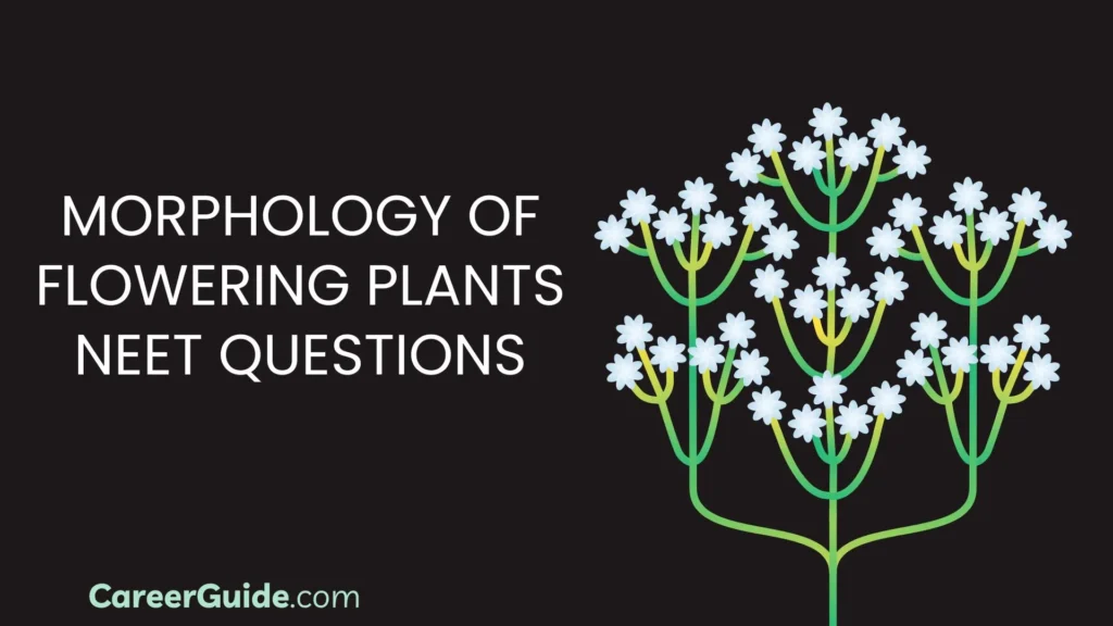 Morphology Of Flowering Plants Neet Questions