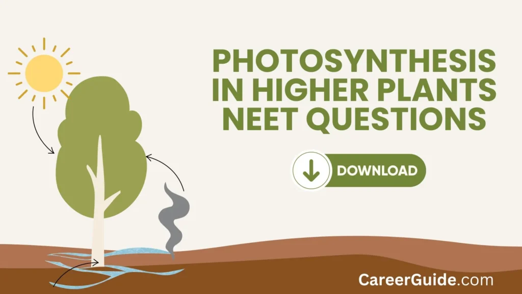 Photosynthesis In Higher Plants Neet Questions