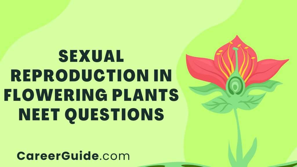 Sexual Reproduction In Flowering Plants Neet Questions