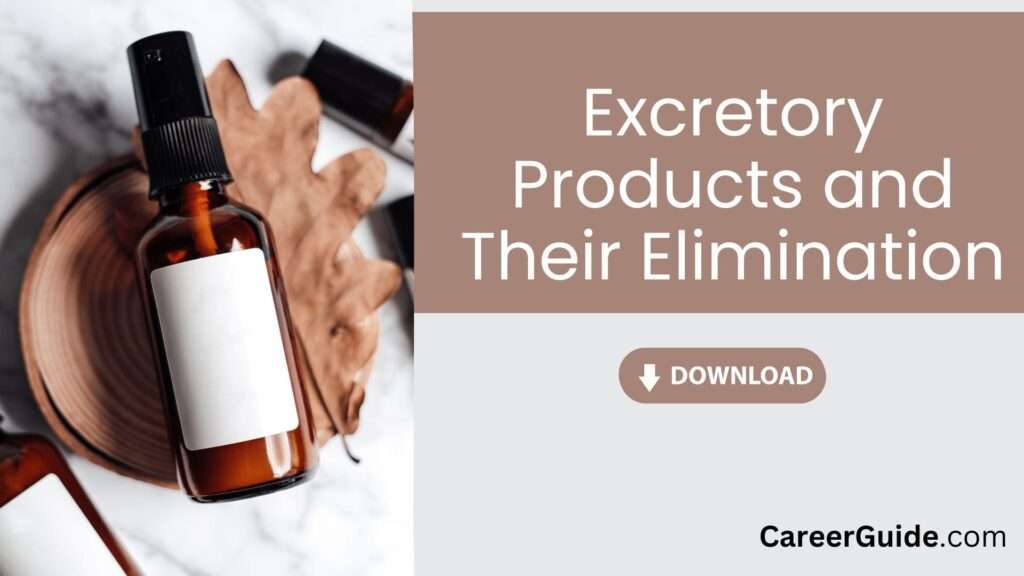 Excretory Products And Their Elimination