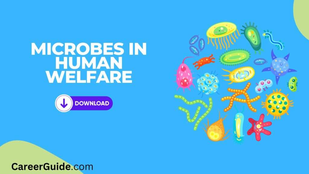 Microbes In Human Welfare