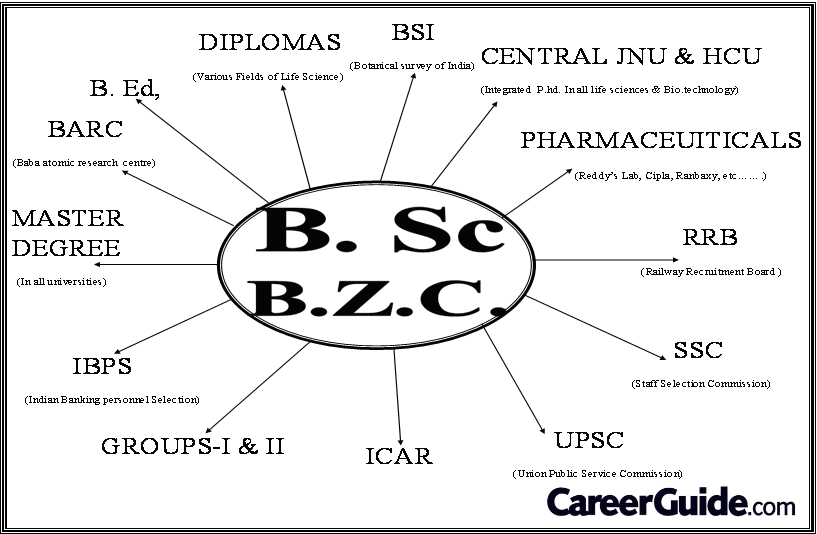 Best Courses After BSc 